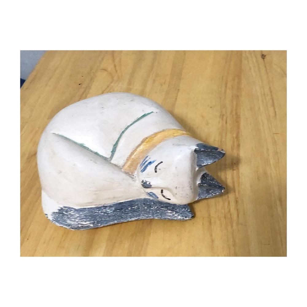 Cute little cat